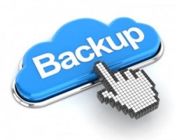 Cloud Backup Support