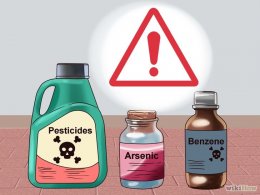 Imagem intitulada Prevent Low Platelet Count Step 2