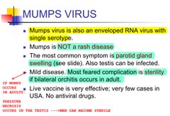 Mumps--in adults--no humping