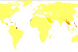 A dengue e causada por virus ou bacteria