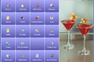 Aldelo Revel pos documentation, manuals pricing