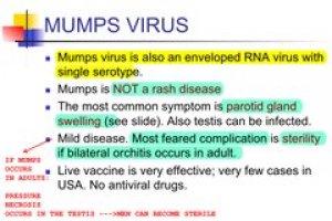 Herpesvirus Transmission