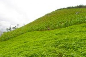 Ingenico i6550 hardware attack detected