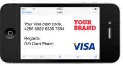 Virtual Visa Gift Cards - sample